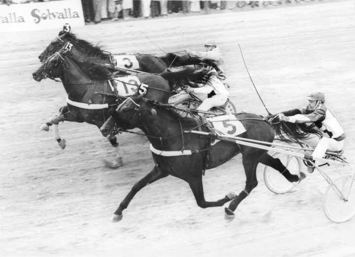 RODETTO V65-PREMIÄR