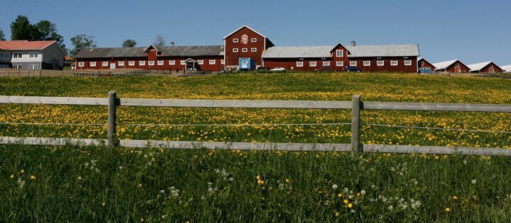 Vy över Wången_2 (1)