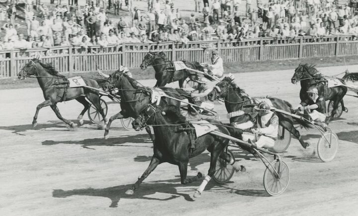 Zia Hammering – Anders Göstasson på Lindesberg.jpg
